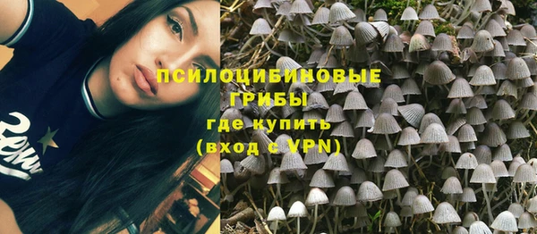 дживик Алексеевка
