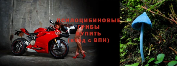 эйфоретик Алзамай
