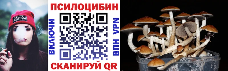 магазин продажи наркотиков  Кореновск  KRAKEN ССЫЛКА  Псилоцибиновые грибы прущие грибы 